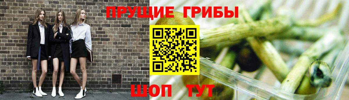 Псилоцибиновые грибы Psilocybine cubensis  дарнет шоп  Котельники  Вход с VPN 